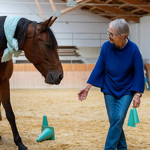 Anikó lädt ihrer Stute Mandula ein mit ihr in Kontakt zu treten.