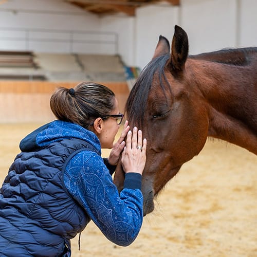 Stute Mandula lässt sich im Coaching genüsslich von Marcella den Kopf streicheln.