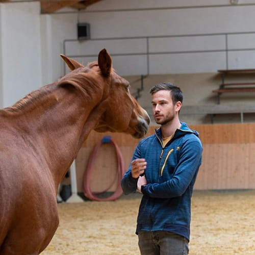 Barnabas konfrontiert sich im Coaching mit Stute Ligah.