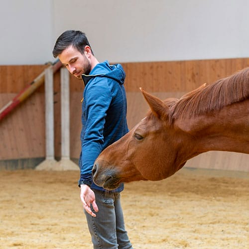 Barnabas lockt im Coaching Stute Ligah zu sich.