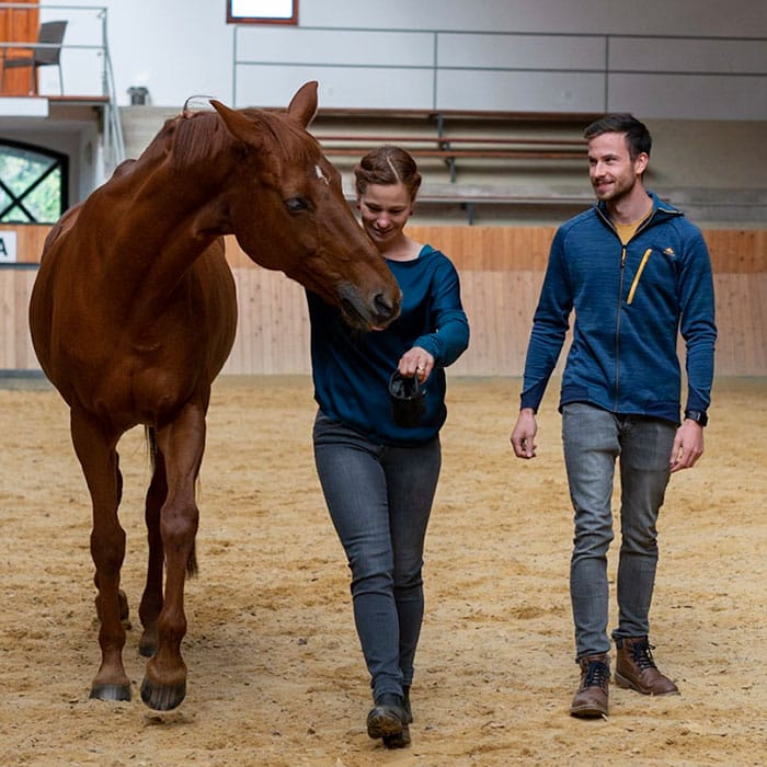 Ildikó zeigt dem Coachee Barnabas wie man Ligah ohne Halfter und Stick führen kann.
